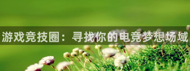 鼎点娱乐平台官方网站
