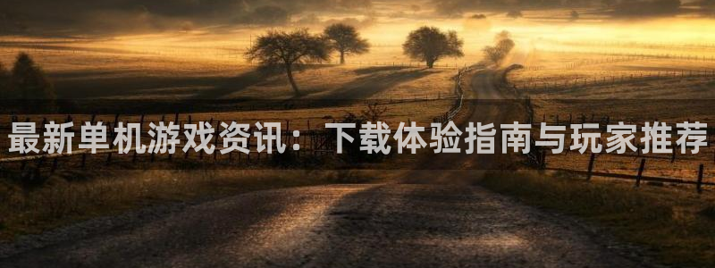 鼎点娱乐游戏：最新单机游戏资讯：下载体验指南与玩家推荐