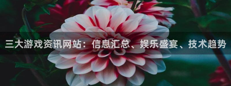 鼎点娱乐平台官网登录：三大游戏资讯网站：信息汇总、娱乐盛宴、