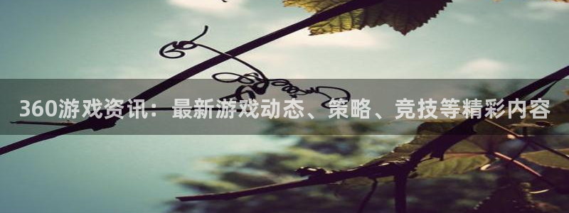 鼎点娱乐咨询