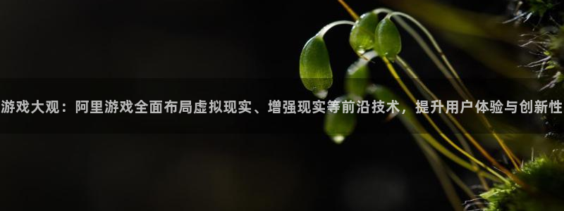 鼎点娱乐下载链接