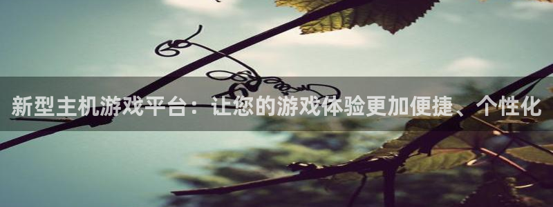 鼎点娱乐平台登录入口