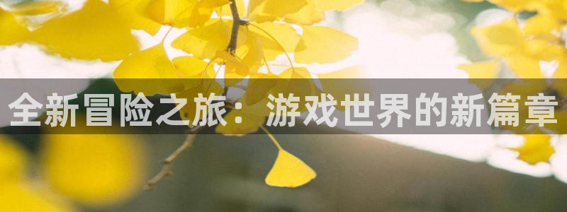 鼎点娱乐注册登录平台
