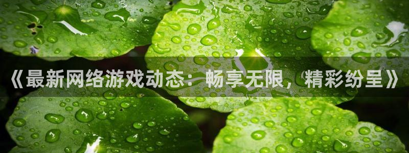 鼎点娱乐平台官网入口