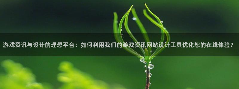 鼎点娱乐什么意思