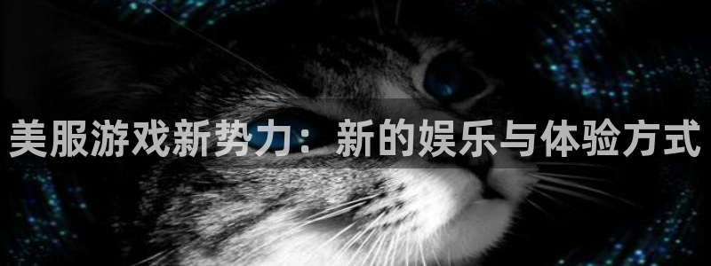 鼎点娱乐官网登录