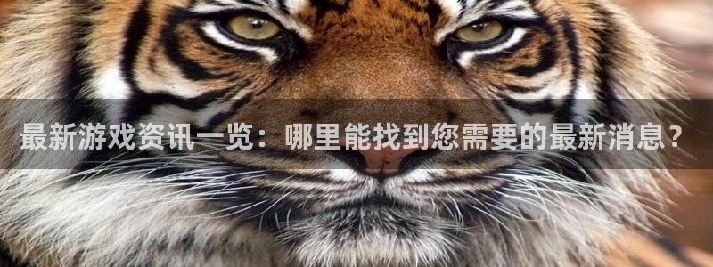 鼎点娱乐平台官网注册