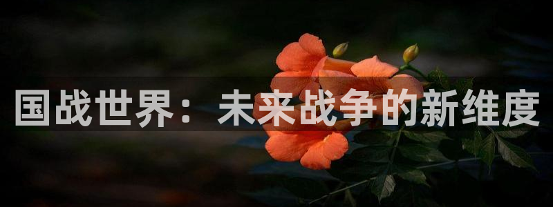 鼎点娱乐平台负责人：国战世界：未来战争的新维度