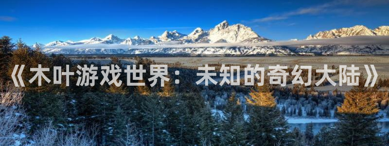 鼎点娱乐平台官网客服电话：《木叶游戏世界：未知的奇幻大陆》