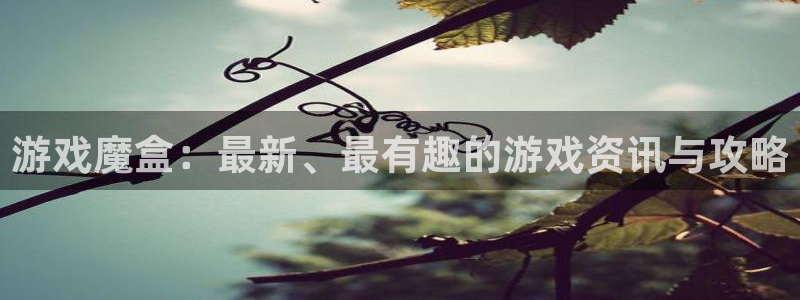 鼎点娱乐开户测速：游戏魔盒：最新、最有趣的游戏资讯与攻略