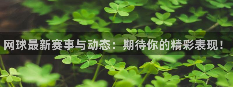 鼎点娱乐注册账号：网球最新赛事与动态：期待你的精彩表现！