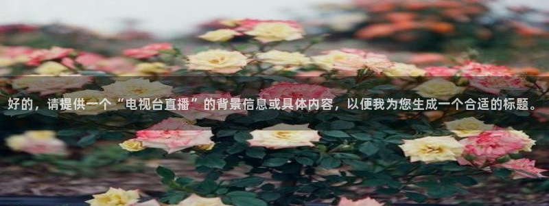 劲爆体育nba直播免费高清在线：好的，请提供一个“电视台直播”的背景信息或具体内容，以便我为您生成一个合适的标题。