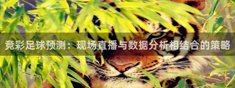 劲爆体育直播免费观看：竞彩足球预测：现场直播与数据分析相结合的策略