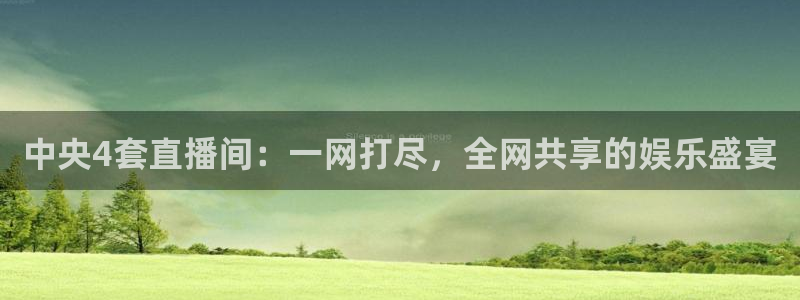 劲爆体育f1直播：中央4套直播间：一网打尽，全网共享的娱乐盛宴